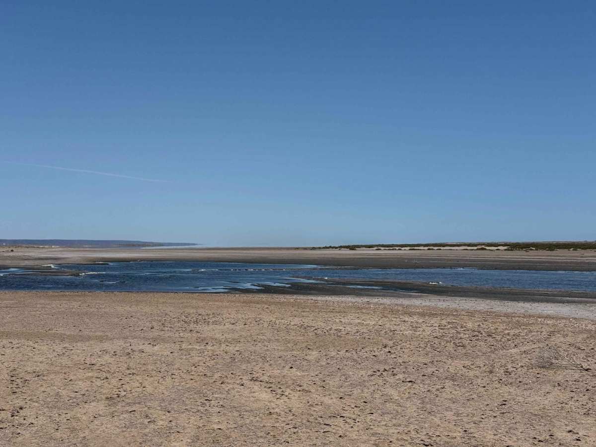 Salt Flats Datil photo 5