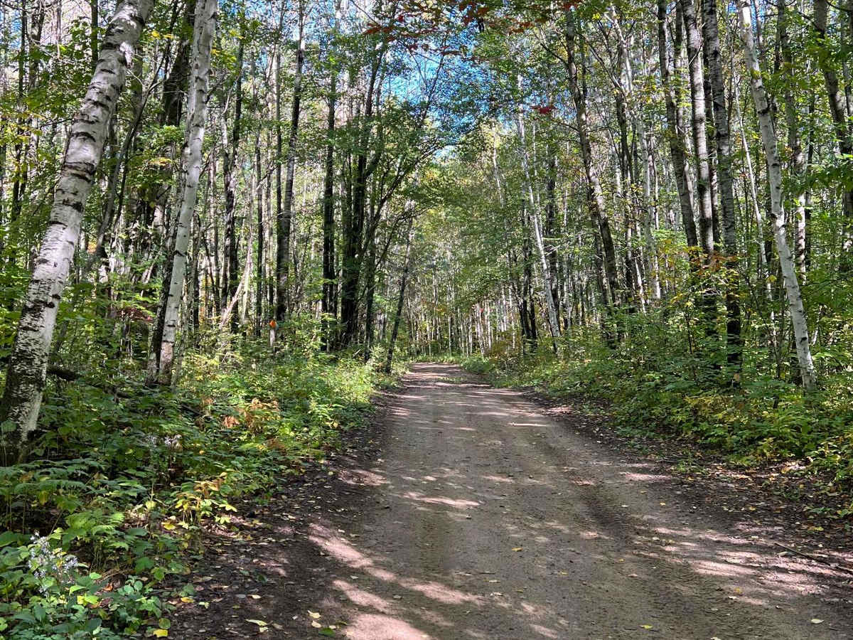The Narrow Bull Moose Trail photo 4