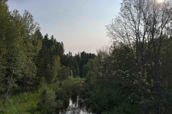 Felch OHV Grade Trail A