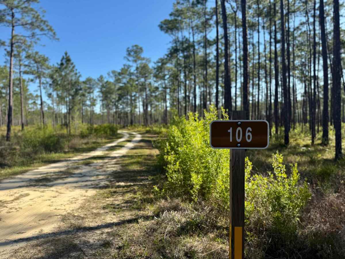 Rowletts Creek - FS 106 trail photo