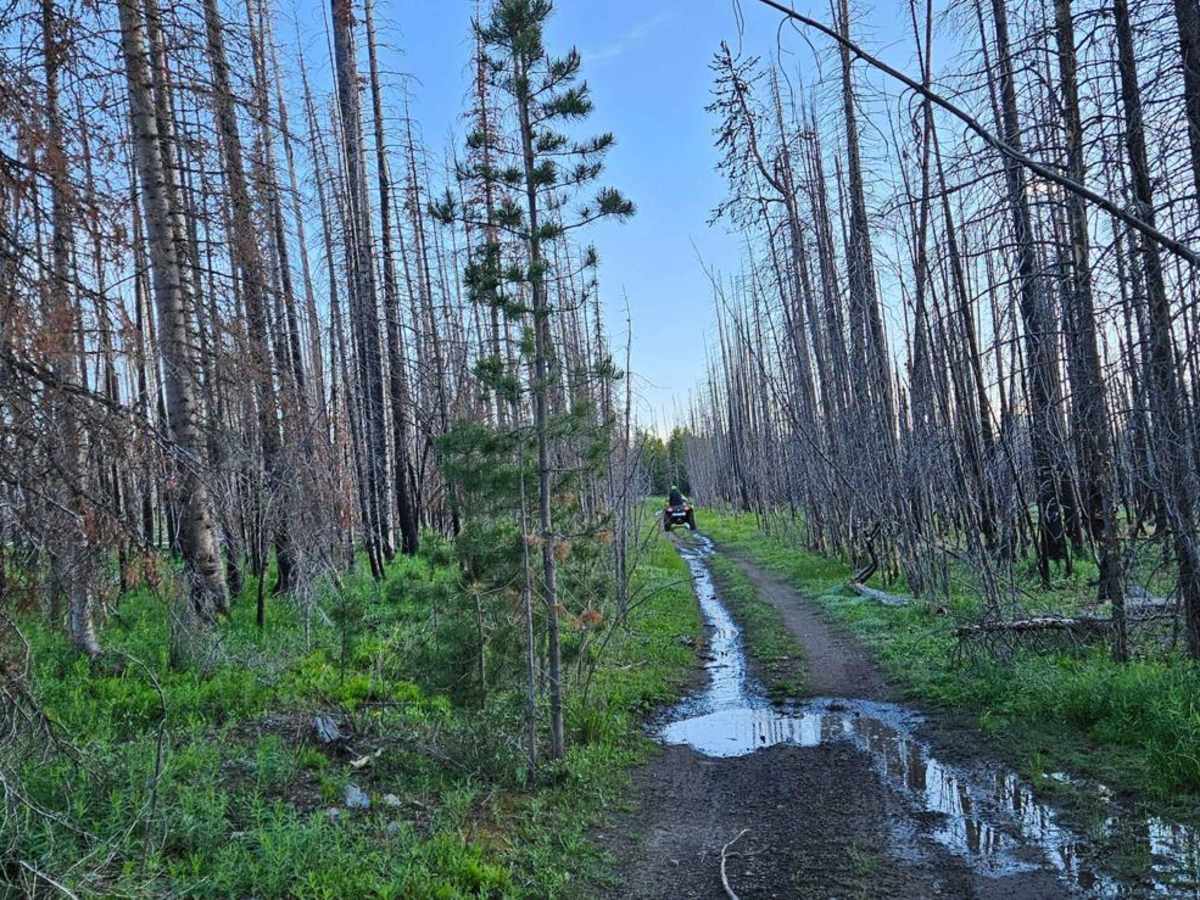Valley Trail photo 3