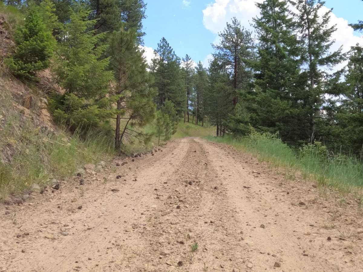 West Side Pardee Creek Road - Old Hwy 10 photo 4