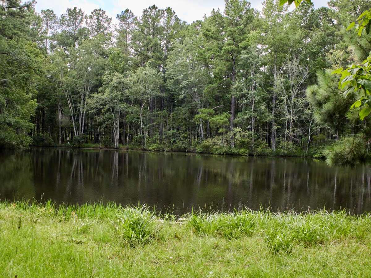 Hamilton Ridge Wildlife Loop photo 6