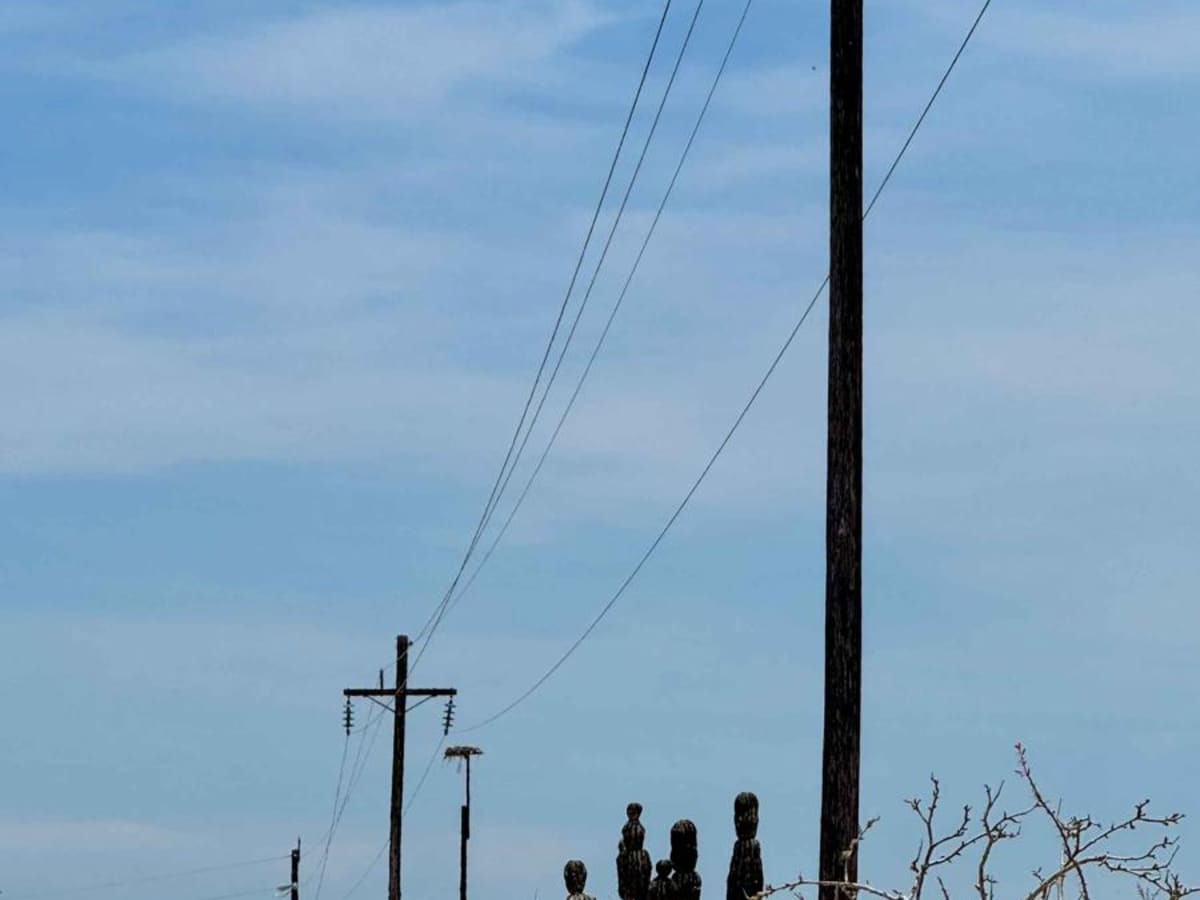 Powerline Road photo 6
