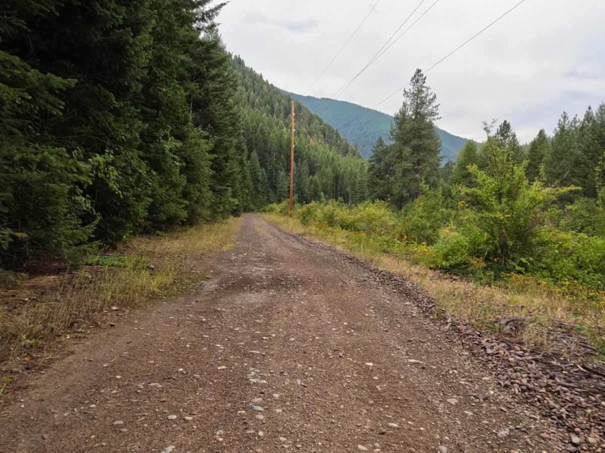 Little Joe Road photo 5