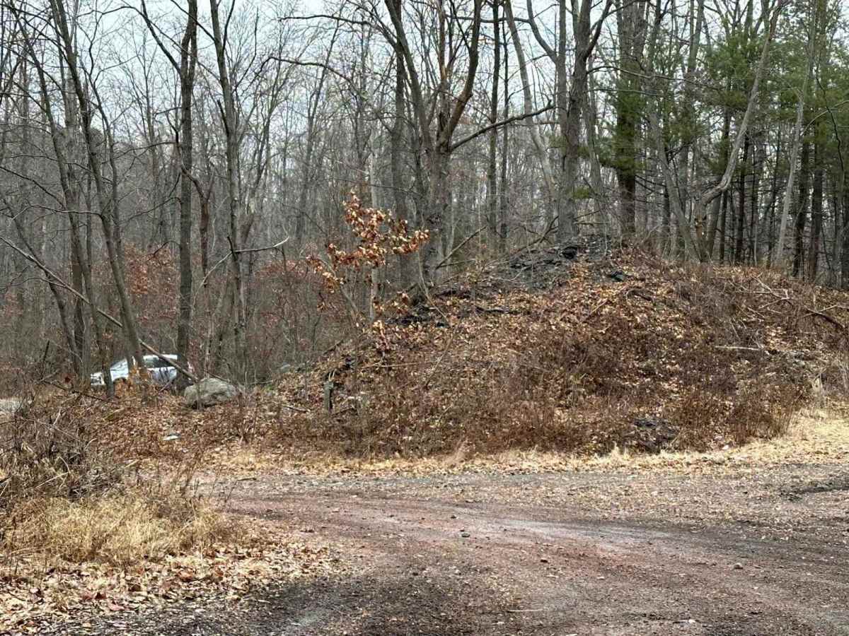 Locust Gap 21 photo 5