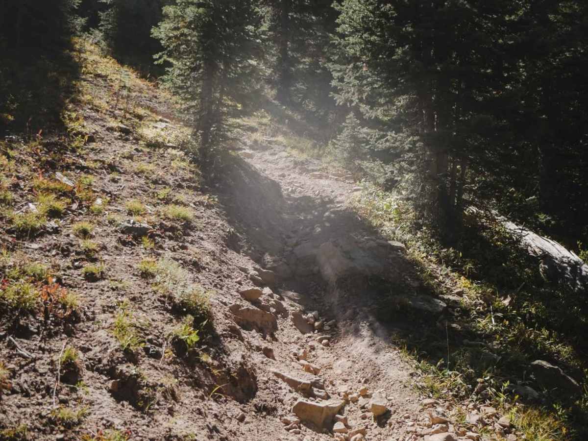 Grays Creek Trail photo 5