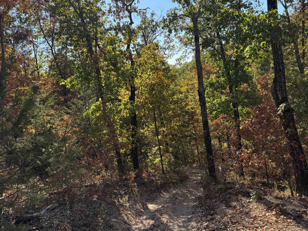 Power Wagon Trail 75 photo 2