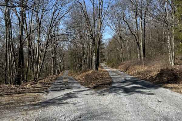 First Fork Road