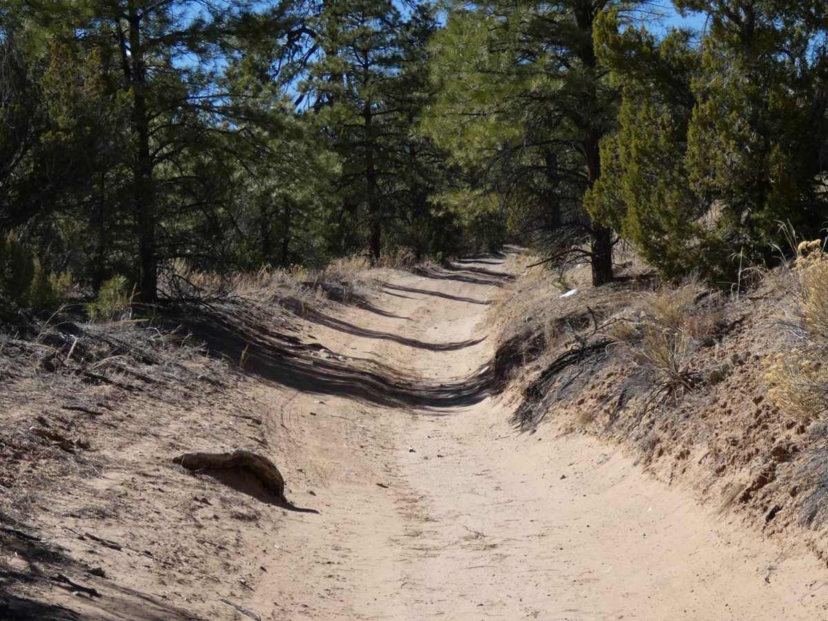 Devils Ridge photo 5