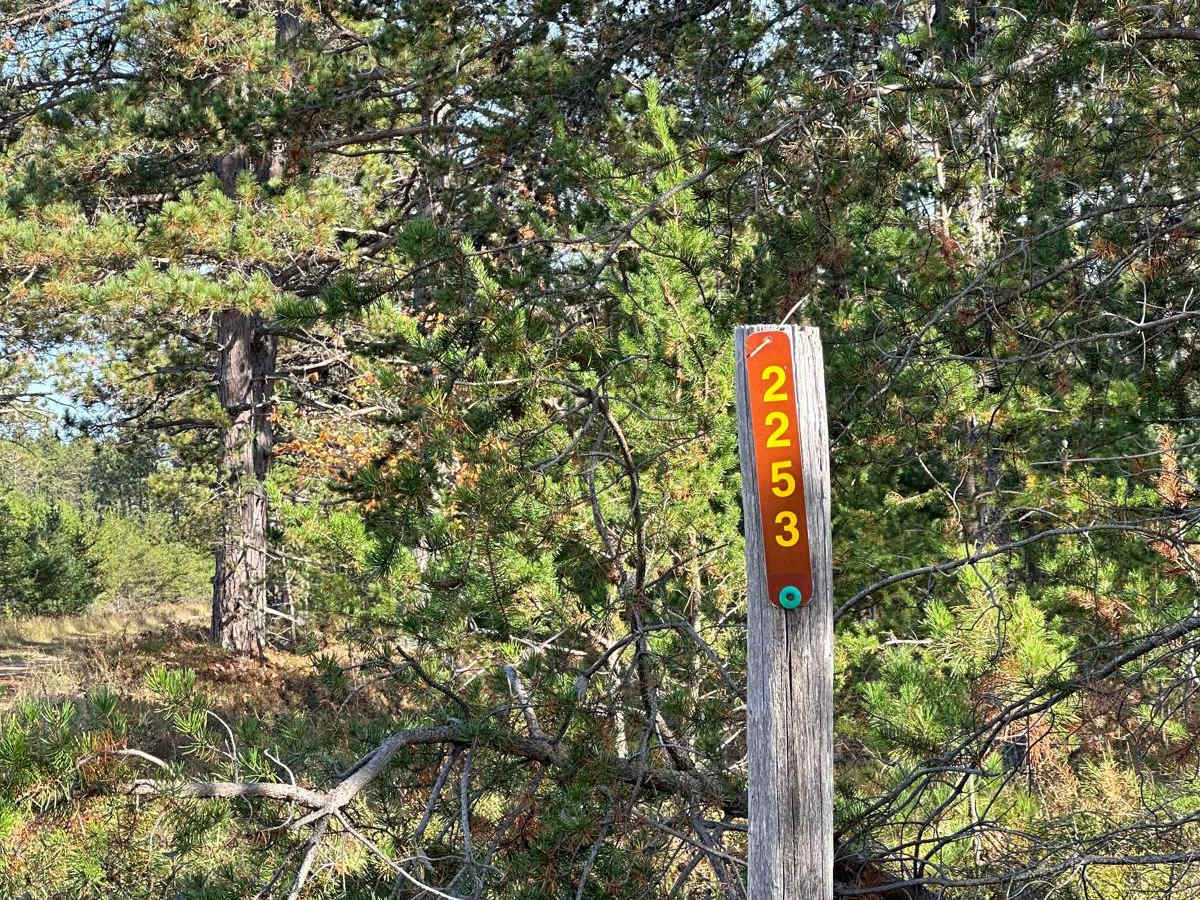 FS 2253 trail photo