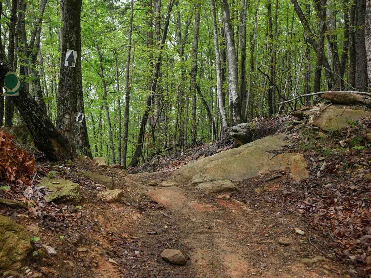 4C trail photo
