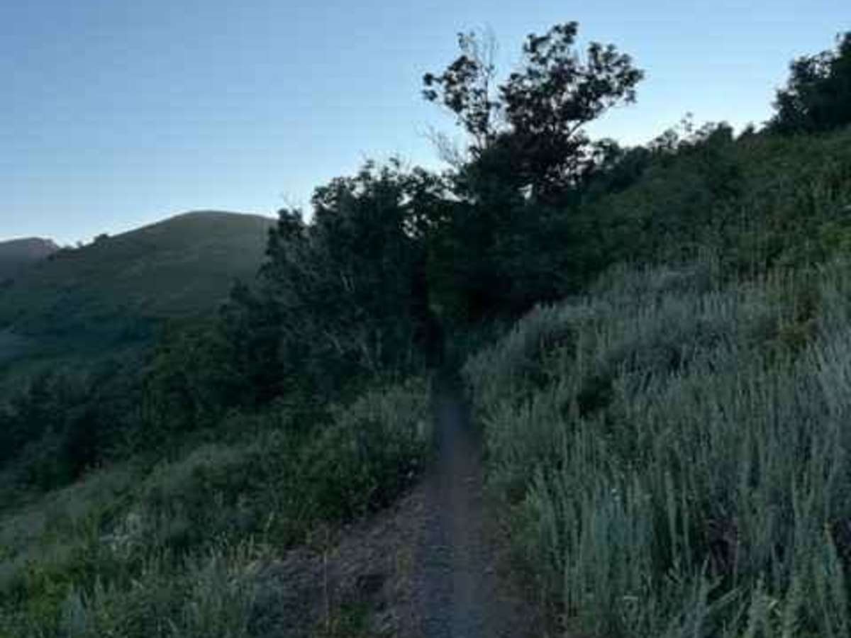Coldwater Peak (6087) photo 3