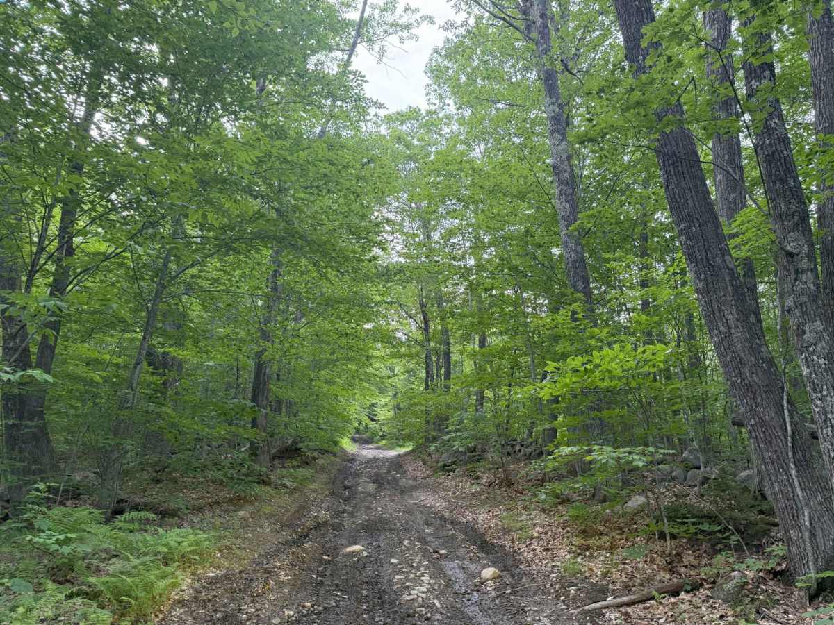 Wade Hill Road photo 3