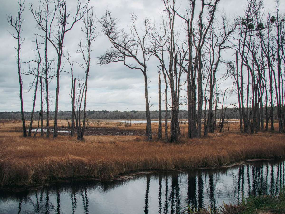 Donnelly WMA PT.2 photo 2