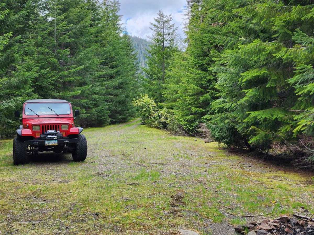 Dry Copper Creek Road/FS 2451-100 photo 6