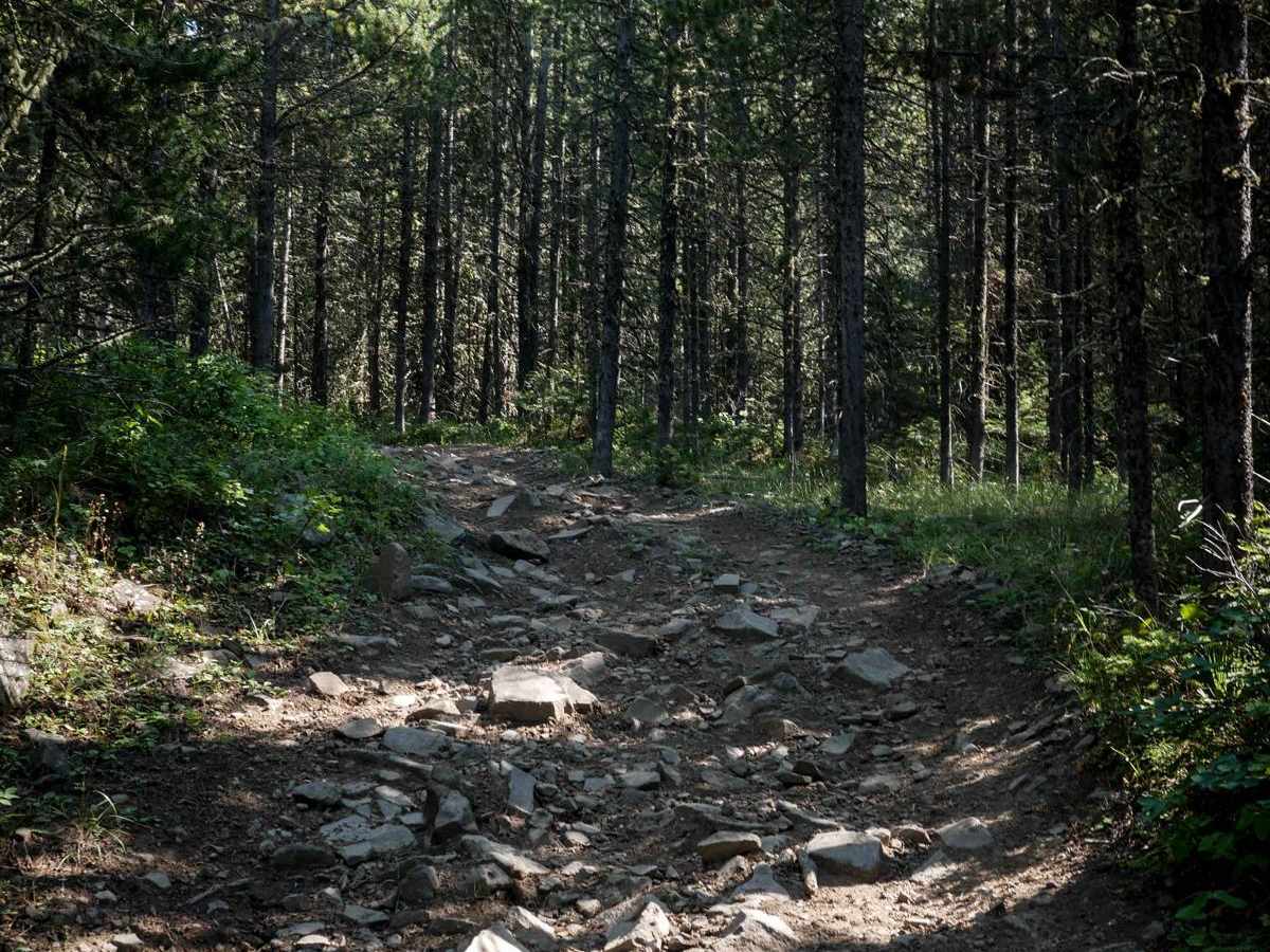 Willow Creek North ATV trail photo