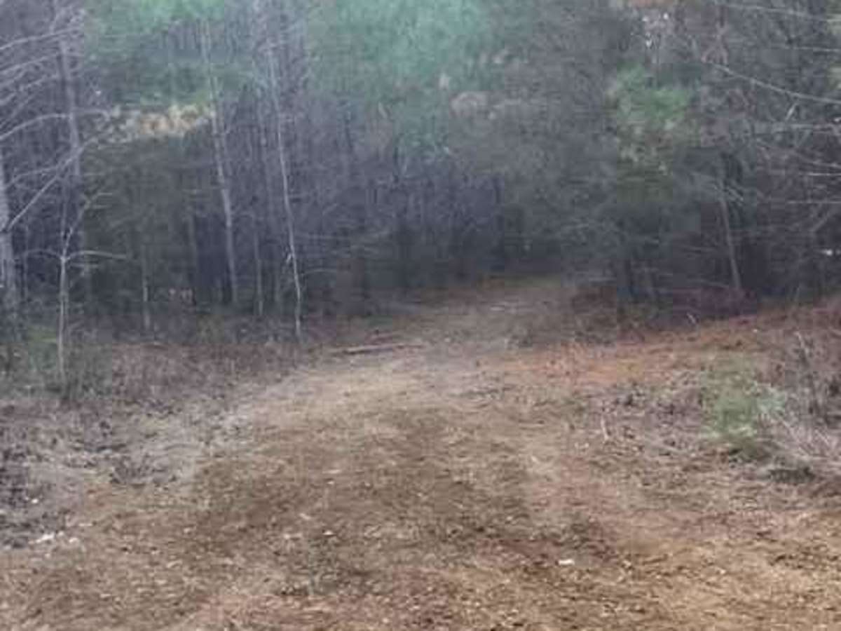 Coalmont Trail 11 Green photo 2