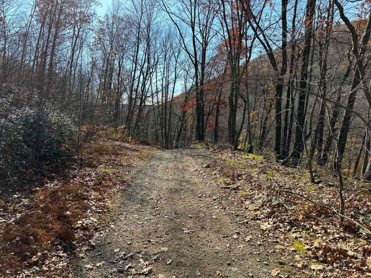Ashland 157 photo 5