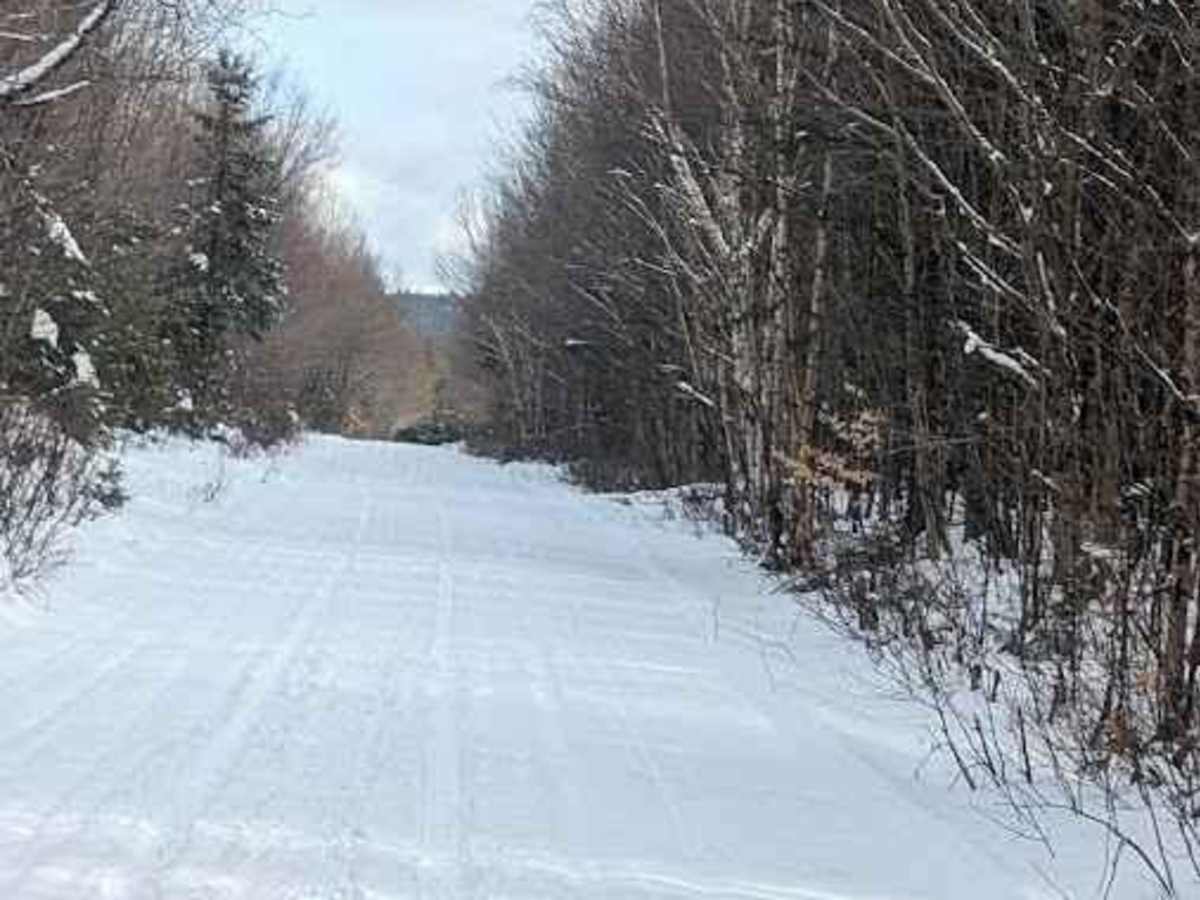 Little Owl Lake Trail photo 3
