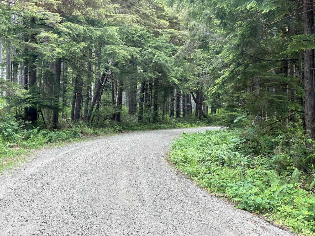 Horse Camp Trail trail photo