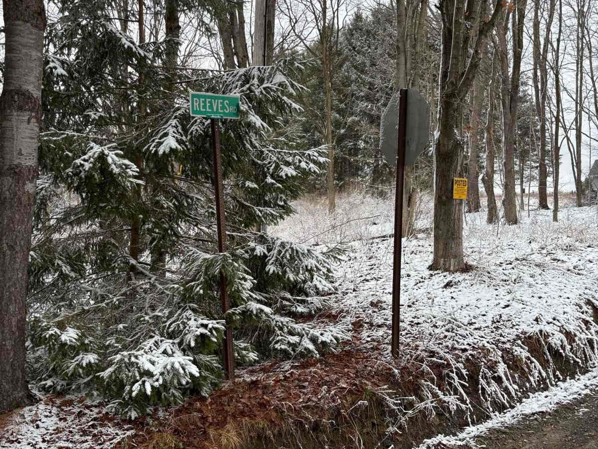 Reeves Road trail photo