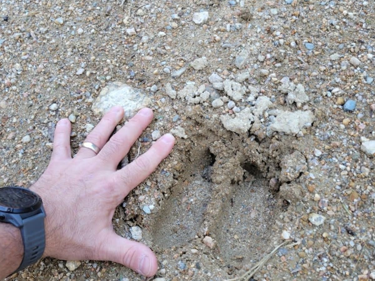 West Lake Southern Tip photo 6