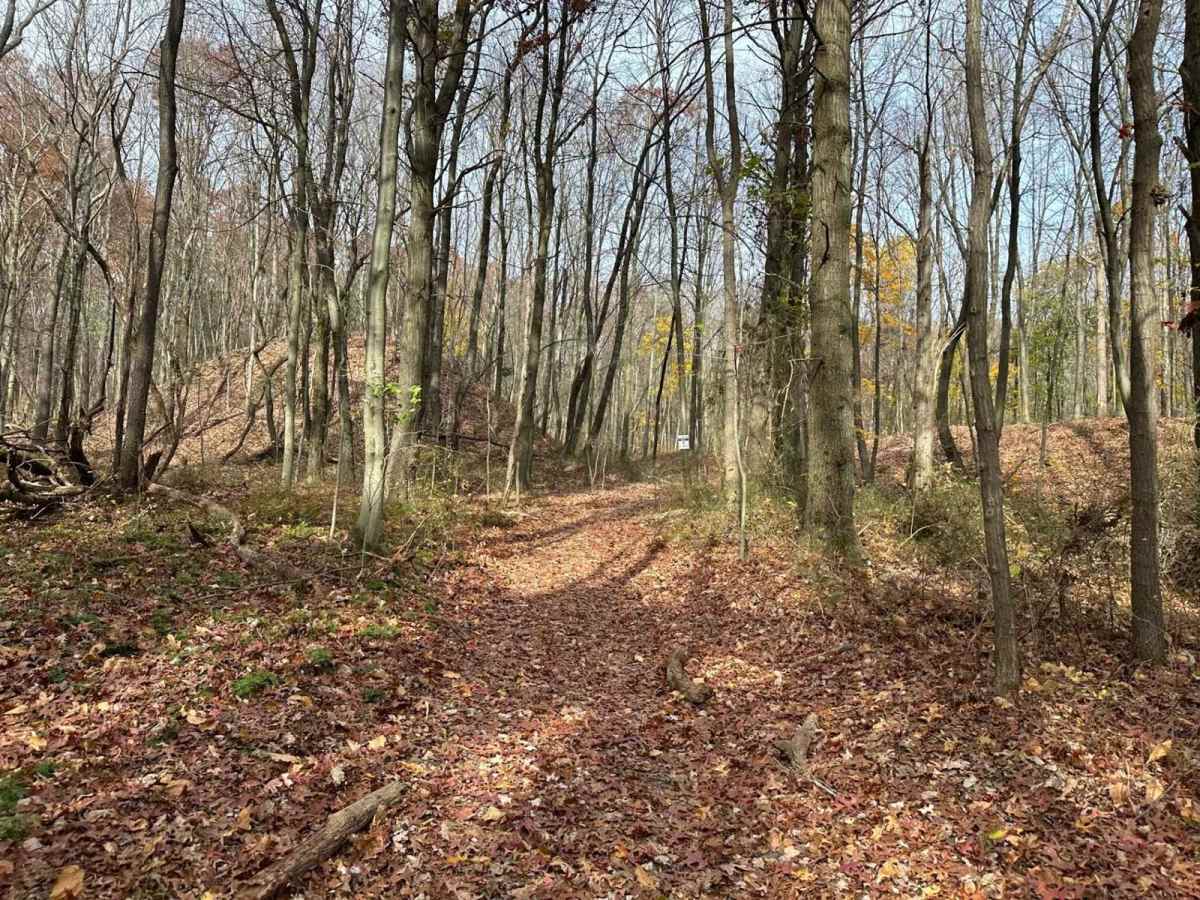 Ashland 1 trail photo