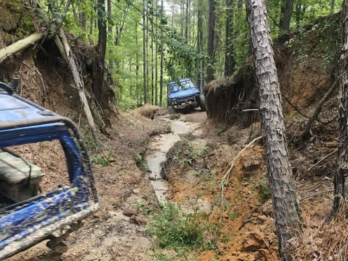 East Creek photo 4