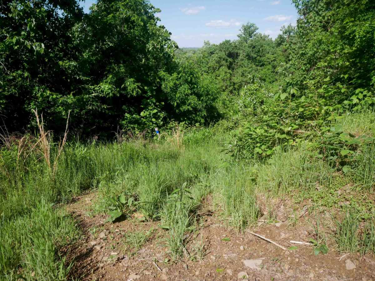 RV22 trail photo