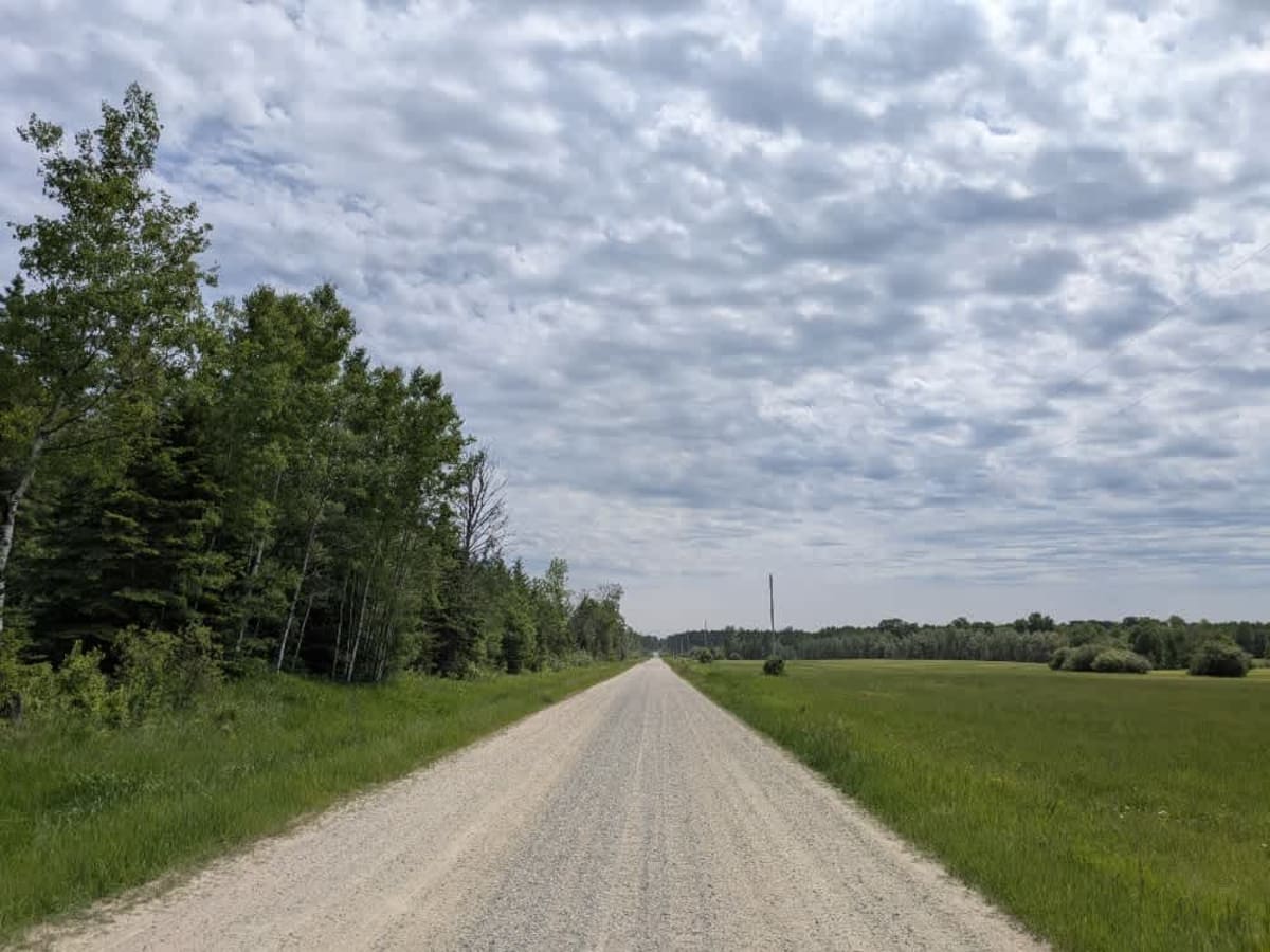 26 photo 3