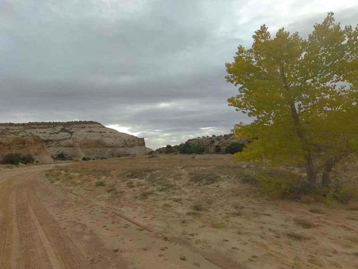North Fork Coal-BLM638 photo 5