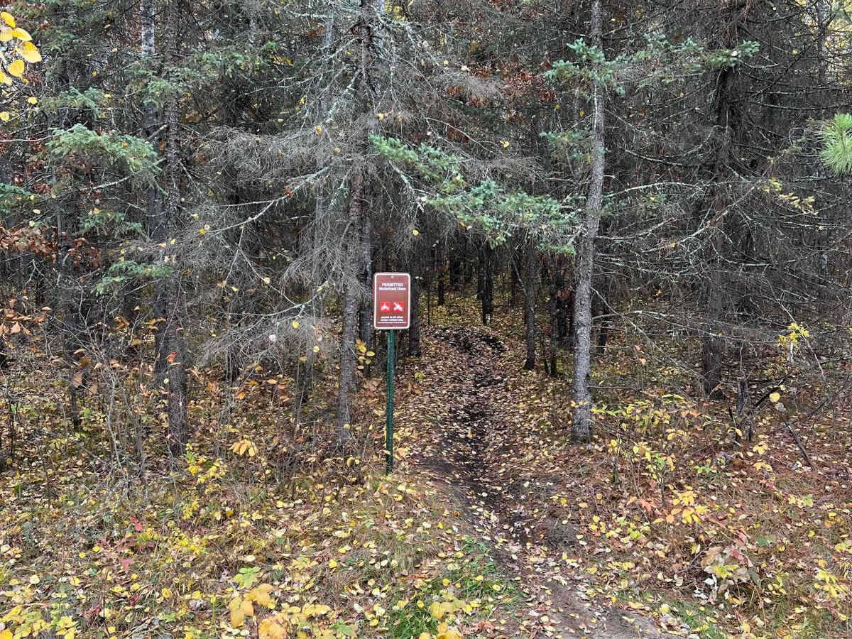 Central Huntersville Cut Through trail photo