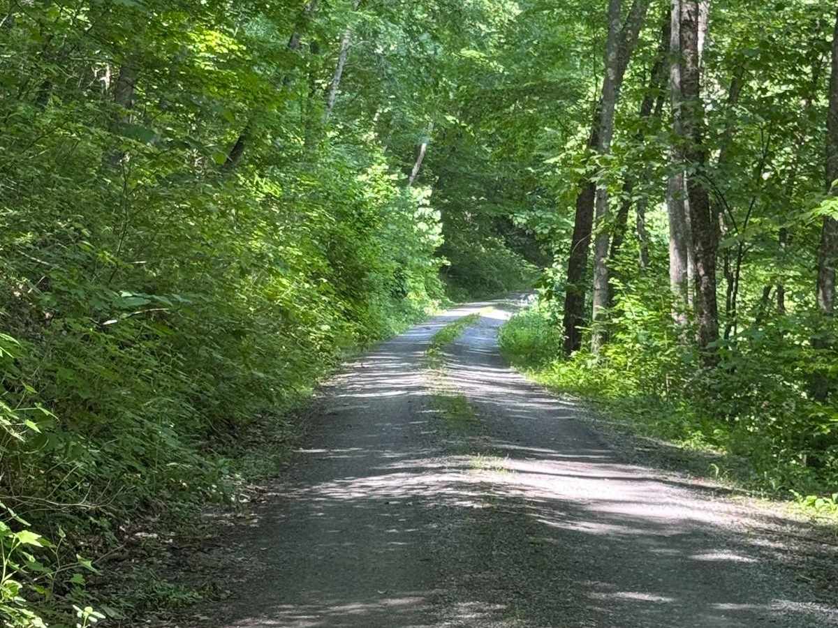 Abes Fork Road photo 3