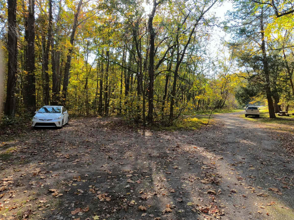 Honker Lake - FS 177 photo 3
