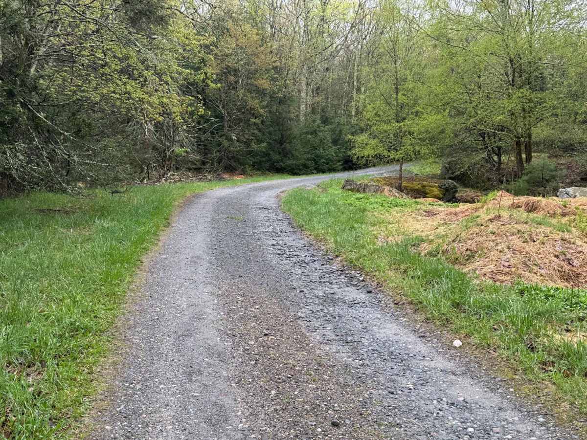 Wolf Brook Trail trail photo