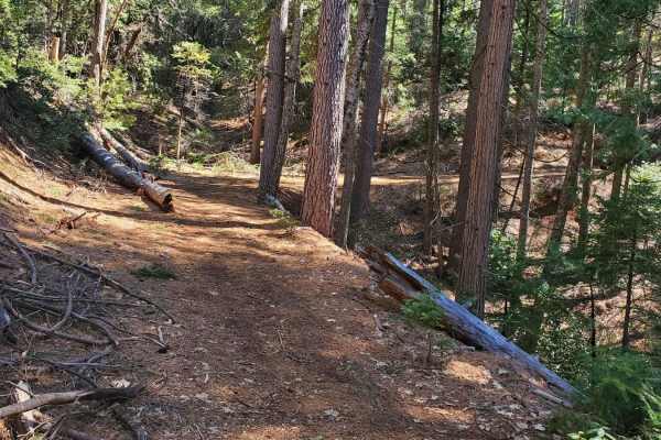 Sugarloaf 4WD & West (12N70G & 12NY21)