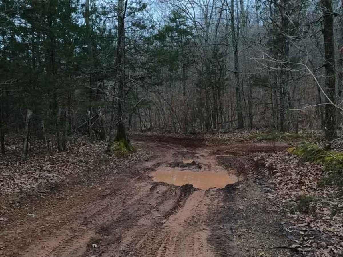 Bill Smith Hollow FSR 2064 photo 5