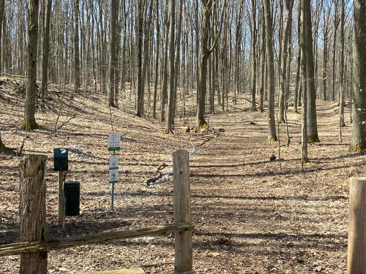 Creemore Run trail photo