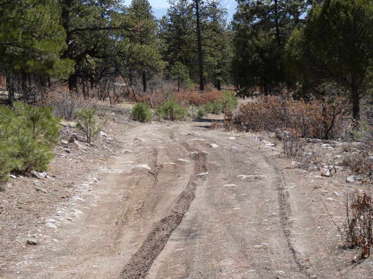 Red Mesa FSR-578 photo 6
