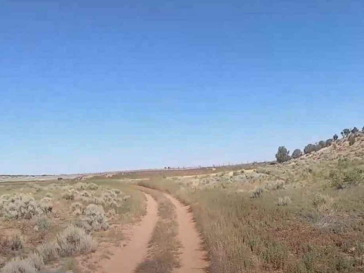 SB Point Road photo 3