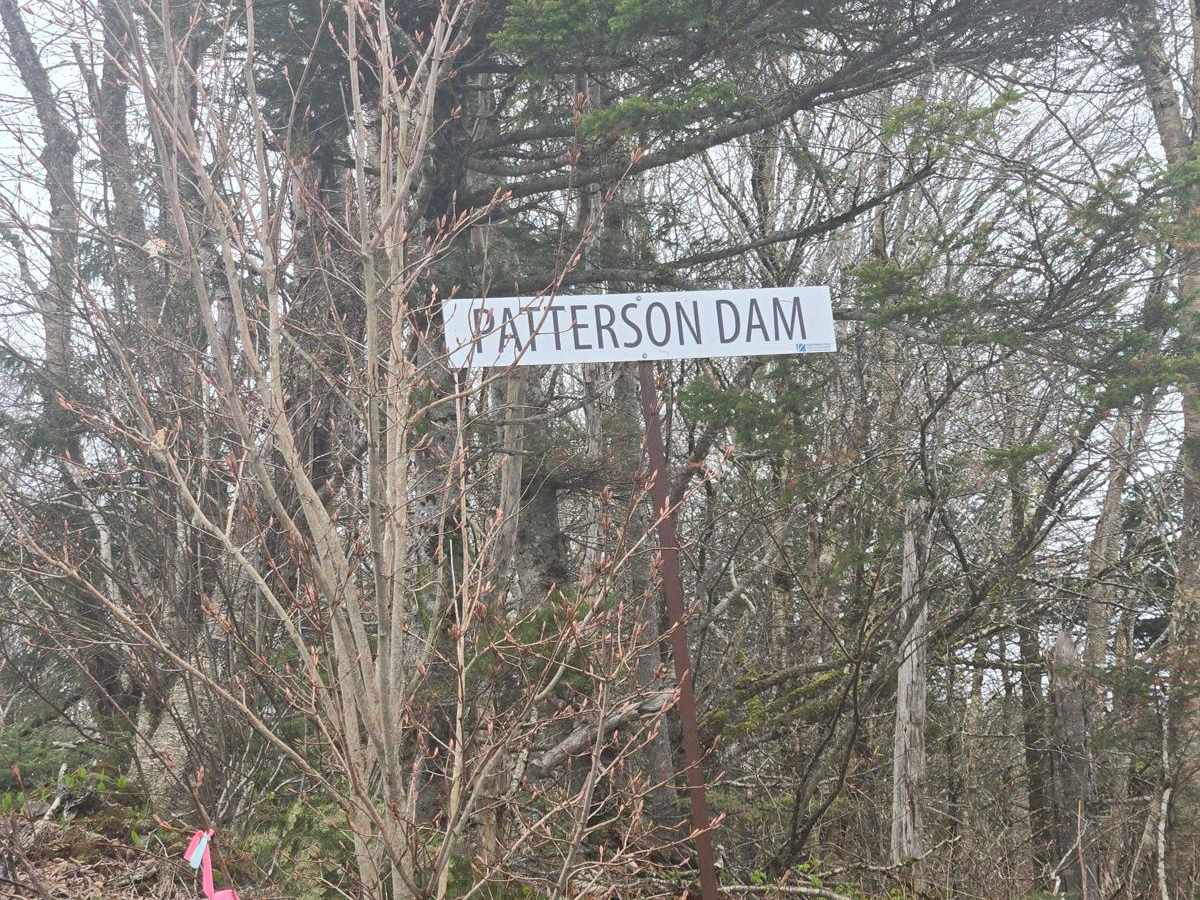 Paterson dam trail photo 3