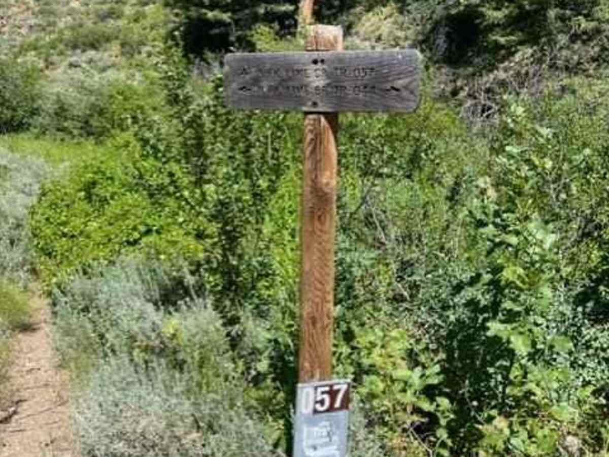 Lime Creek to Iron Mountain Lookout photo 5