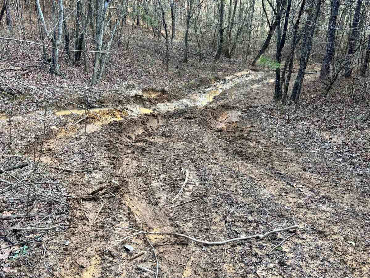 Ed's Holler photo 3