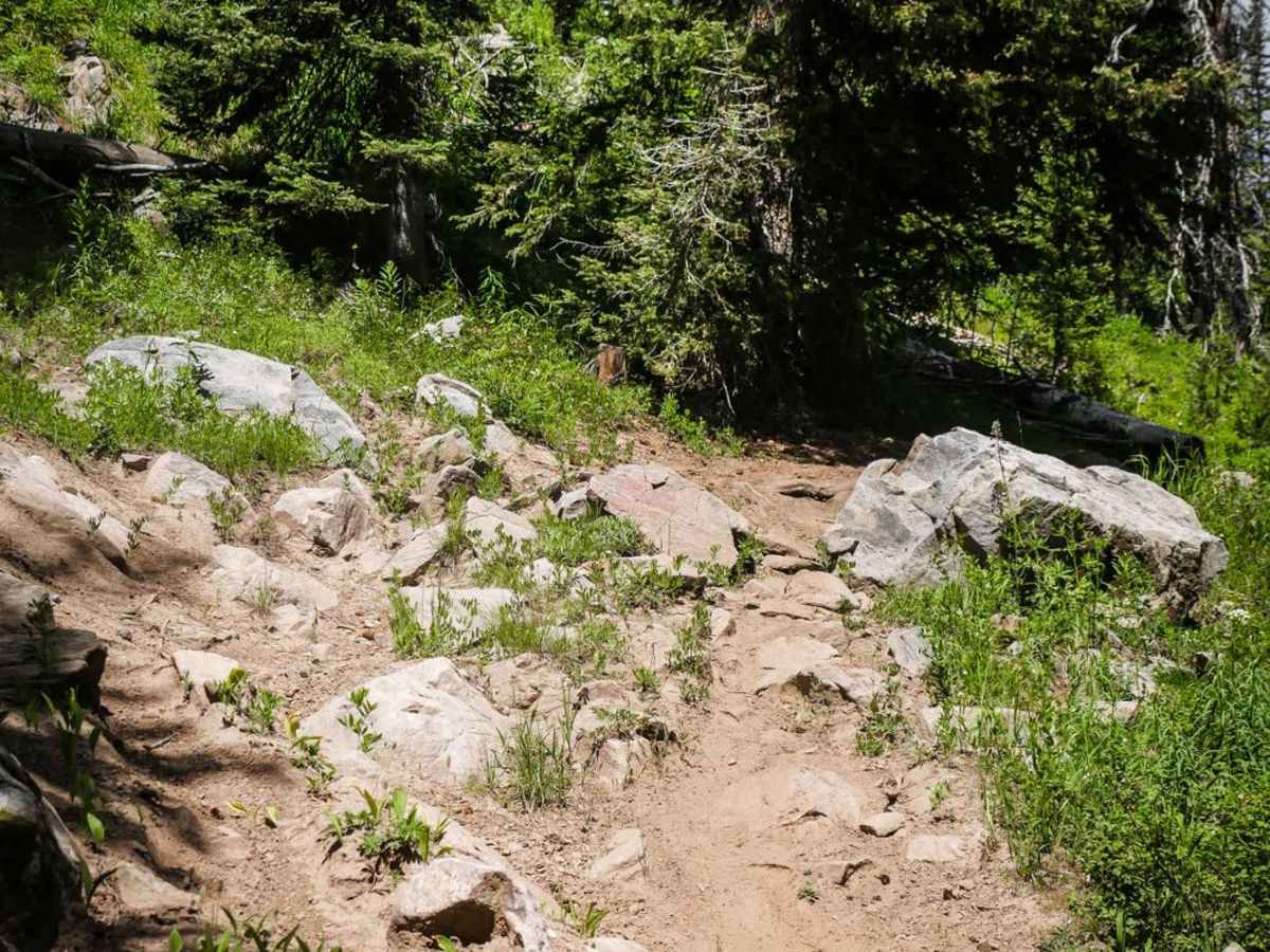 Whiskey Creek photo 4