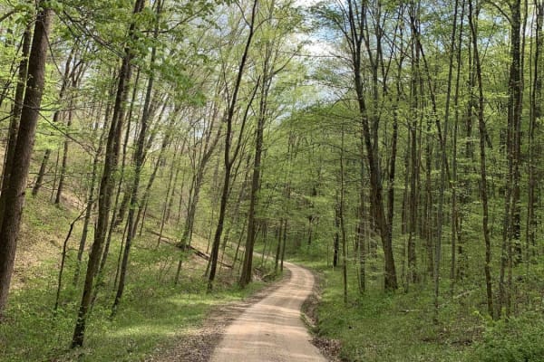 Park Road 39