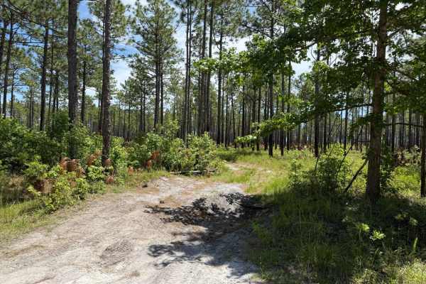 Millis Road Spur