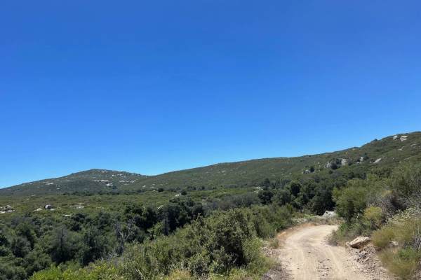 Corral Canyon Road