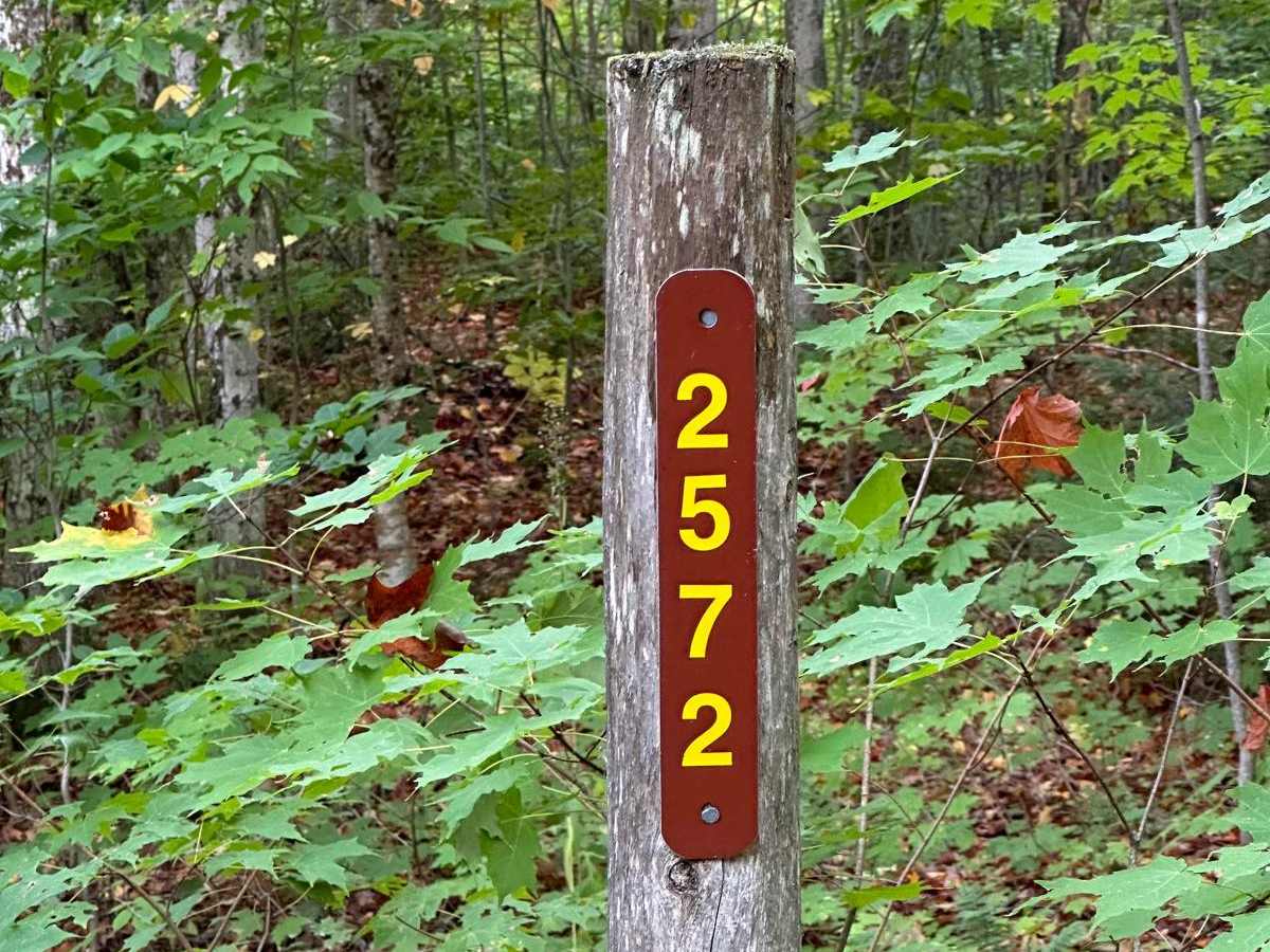 Line Lake East - FS 2572 trail photo