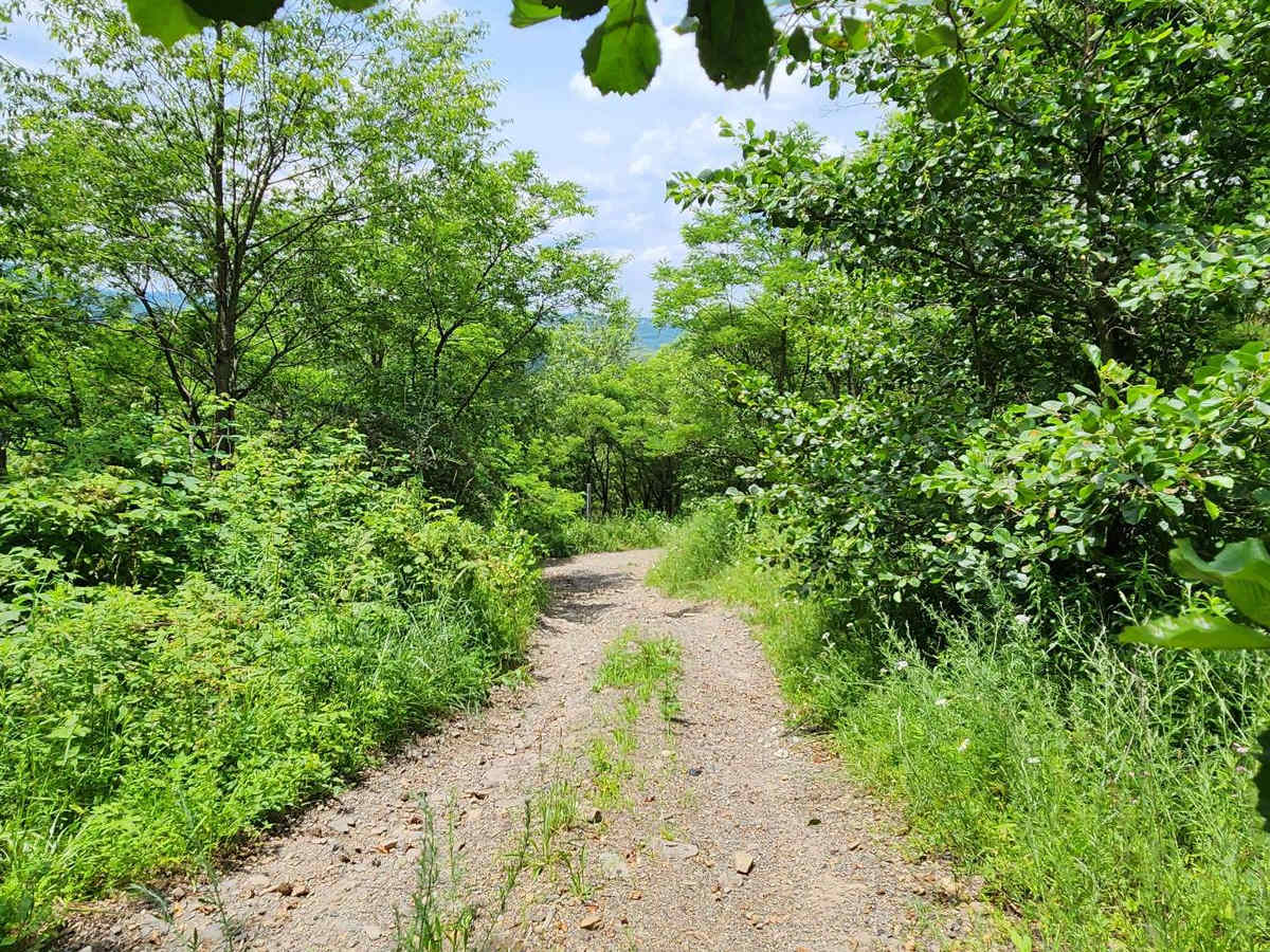 Trail 8H - Rock Run Recreation Area photo 6